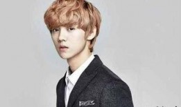 高瀚宇爆料鹿晗了吗视频,视频爆料背后的真相